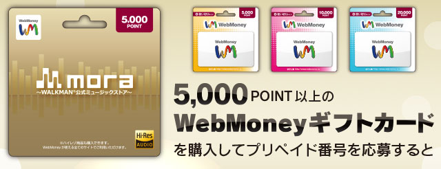 5,000POINT以上のWebMoneyギフトカードを購入してプリペイド番号を応募すると
