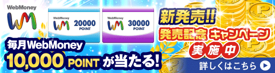 WebMoney10,000POINTI