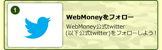 WebMoneytH[