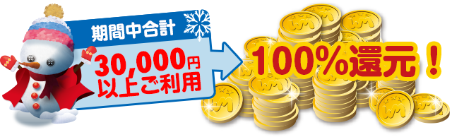 期間中合計30,000円以上ご利用→100％還元！