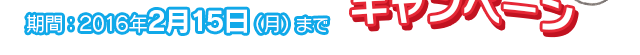 期間：2016年2月15日（月）まで