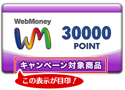 WebMoney30,000POINT券面の「キャンペーン対象商品」が目印！